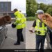Cop Stopped A Car In Scotland Find Alpaca In Front Seat | Scotland Police Stop Car For Routine Check Find Unusual Passenger In Front Seat