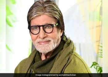 Man Asks Amitabh Bachchan What Is The Name Of THIS Fruit See Big B Response Here – अमिताभ बच्चन से ट्विटर यूजर ने पूछा इस रहस्यमयी फल का नाम, बिग बी ने कहा