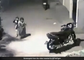 Little Boy Clashed With Dreaded Dogs To Save Sister What Happened Next See Shocking Video
