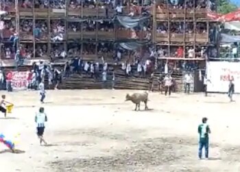 Colombia Bullfight Incident Is A Big Lesson, If You Torture Animals For Your Entertainment, It Will Be Gods Last Laugh, Viral Video