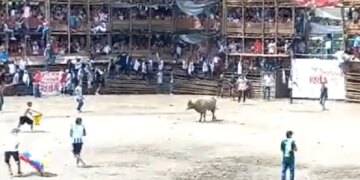Colombia Bullfight Incident Is A Big Lesson, If You Torture Animals For Your Entertainment, It Will Be Gods Last Laugh, Viral Video