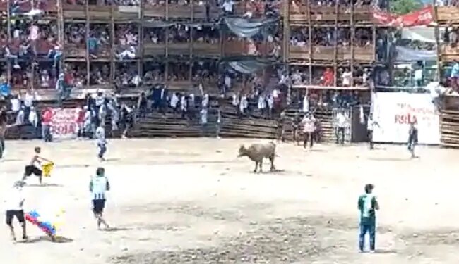 Colombia Bullfight Incident Is A Big Lesson, If You Torture Animals For Your Entertainment, It Will Be Gods Last Laugh, Viral Video