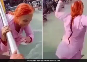 70 Year Elderly Woman Dives Into River Ganga From A Bridge In Haridwar Internet Stuns Watch Viral Video