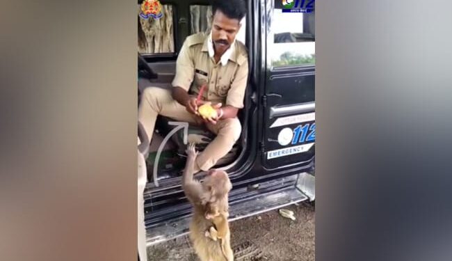 UP Police Jawan Fed Fruits To Monkey And His Little Child, People Said- Salute – UP Police के जवान ने बंदर और उसके नन्हे बच्चे को खिलाया फल, लोगों ने कहा