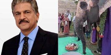 Anand Mahindra Tweeted Video Of Elephant Birthday Celebration Said I Love Her Typical Desi Shake Of The Head – हाथी के बर्थडे पर लोग बोले Happy Birthday, तो गजराज ने देसी अंदाज़ में कहा