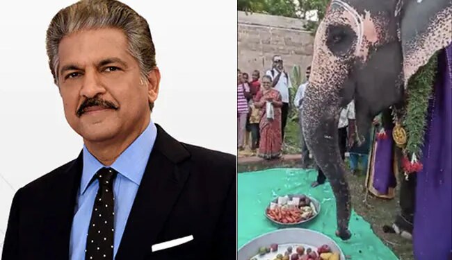Anand Mahindra Tweeted Video Of Elephant Birthday Celebration Said I Love Her Typical Desi Shake Of The Head – हाथी के बर्थडे पर लोग बोले Happy Birthday, तो गजराज ने देसी अंदाज़ में कहा