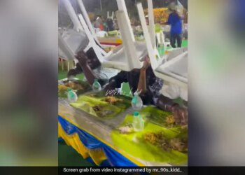 People Were Eating Food In The Wedding Suddenly Start Raining Yet The Guests Were Busy In Eating See Viral Video