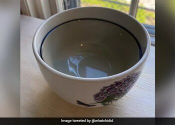 Woman Got A Ceramic Bowl Stuck In Another Asked Internet For Help Her Tweet Goes Viral