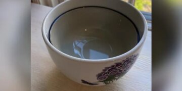 Woman Got A Ceramic Bowl Stuck In Another Asked Internet For Help Her Tweet Goes Viral