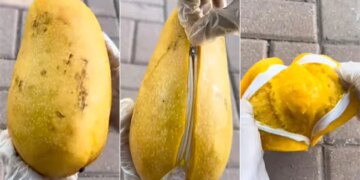 Viral Video: You Cant Eat This Bizarre Mango Because It Has A Zipper | Have Ever Seen Such A Mango In Which Zip VIDEO