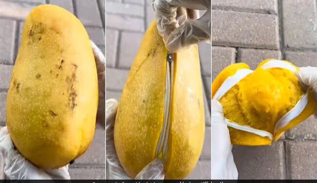 Viral Video: You Cant Eat This Bizarre Mango Because It Has A Zipper | Have Ever Seen Such A Mango In Which Zip VIDEO