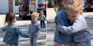 Watch: Two Best Friends Meet After Longtime Video Viral On Social Media
