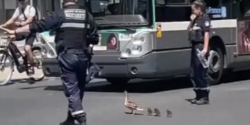 Example Of Humanity: Police Stopped All Vehicles To Allow Duck And Its Young To Cross The Road