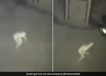 Mysterious Pale Figure Captured In CCTV Footage, Paranormal Enthusiasts Discuss The Pale Figure In Video