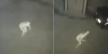 Mysterious Pale Figure Captured In CCTV Footage, Paranormal Enthusiasts Discuss The Pale Figure In Video