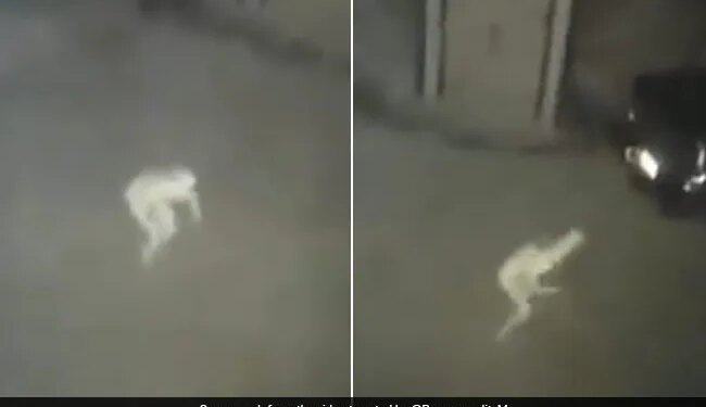 Mysterious Pale Figure Captured In CCTV Footage, Paranormal Enthusiasts Discuss The Pale Figure In Video