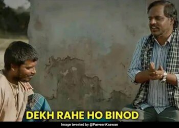 Panchayat 2 Binod Memes Dekh Raha Hai Binod Funny Memes Goes Viral On Internet And They Are Hilarious