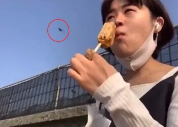 लड़की के हाथों से आइसक्रीम ले उड़ा बाज, मैडम का रिएक्शन देख छूट जाएगी हंसी