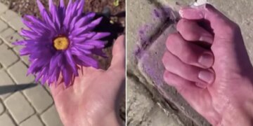 Watch Mind Blowing Optical Illusion Video | Magical Art Viral Video Will Stop Brain See How