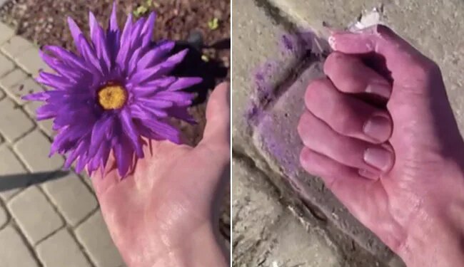 Watch Mind Blowing Optical Illusion Video | Magical Art Viral Video Will Stop Brain See How