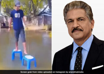 Anand Mahindra Impressed With This Man Desi Jugaad To Walk On A Waterlogged Street Watch Viral Video