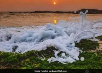 Nature Flaunting Tricolour, People Say This Is The Pride Of Our Country, Photo Went Viral – प्रकृति में दिखा तिरंगा का शानदार नज़ारा, लोगों ने कहा