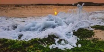 Nature Flaunting Tricolour, People Say This Is The Pride Of Our Country, Photo Went Viral – प्रकृति में दिखा तिरंगा का शानदार नज़ारा, लोगों ने कहा
