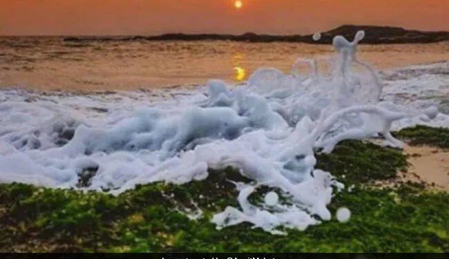 Nature Flaunting Tricolour, People Say This Is The Pride Of Our Country, Photo Went Viral – प्रकृति में दिखा तिरंगा का शानदार नज़ारा, लोगों ने कहा