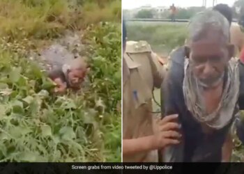 UP Police Constable Jumped In Swamp To Save Elderly Man Life Who Trapped In Daldal Watch Viral Video – बुजुर्ग की जान बचाने के लिए दलदल में कूद गया पुलिस कॉन्सटेबल, जांबाज़ सिपाही को लोगों ने किया सलाम