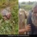 UP Police Constable Jumped In Swamp To Save Elderly Man Life Who Trapped In Daldal Watch Viral Video – बुजुर्ग की जान बचाने के लिए दलदल में कूद गया पुलिस कॉन्सटेबल, जांबाज़ सिपाही को लोगों ने किया सलाम