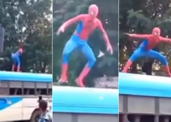 Watch: Spider Man Funny Video Viral | Video Of Spiderman Dancing On Top Of The Bus Is Going Viral