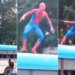 Watch: Spider Man Funny Video Viral | Video Of Spiderman Dancing On Top Of The Bus Is Going Viral