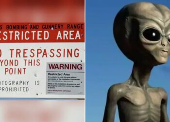Has America Captured Aliens? What Is The Reality Of Area 51 After All? Why Dont Ordinary People Go There?
