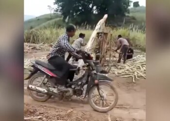 Viral Video Of Extracting Sugarcane Juice In An Inovative Way, Watch Video