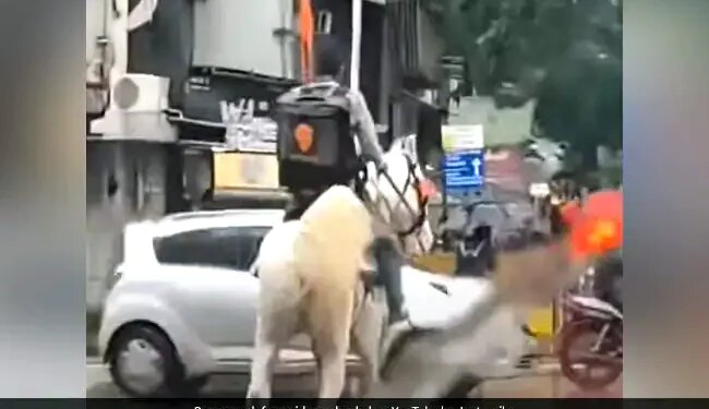 Due To Rain In Mumbai, Swiggy Delivery Boy Carried Food To People On Horseback, Video Went Viral