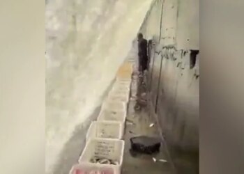 मछली पकड़ने का ये नायाब तरीका देख चकरा जाएगा आपका भी सिर, देखें वायरल वीडियो
