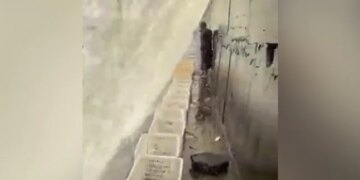 मछली पकड़ने का ये नायाब तरीका देख चकरा जाएगा आपका भी सिर, देखें वायरल वीडियो