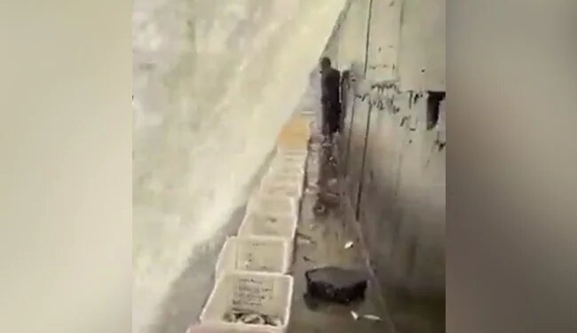 मछली पकड़ने का ये नायाब तरीका देख चकरा जाएगा आपका भी सिर, देखें वायरल वीडियो