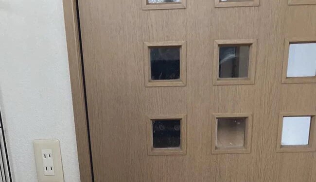 इस तस्वीर में छिपी है एक बिल्ली, लोग खोज नहीं पा रहे हैं, अगर नज़रें हैं आपकी तेज़ तो जल्दी बताइए