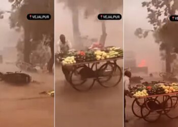 Watch: Viral Video Of A Man Was Shown Saving His Vegetable Cart Fighting The Storm – तूफान से लड़कर अपनी जिंदगी बचाता दिखा एक शख्स, नेटिजन्स बोले