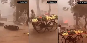 Watch: Viral Video Of A Man Was Shown Saving His Vegetable Cart Fighting The Storm – तूफान से लड़कर अपनी जिंदगी बचाता दिखा एक शख्स, नेटिजन्स बोले