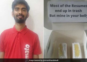 A Bengaluru Youngman, Looking For A Job, Wears Zomato T-Shirt And Delivers His Resume In Pineapple Pastry Box