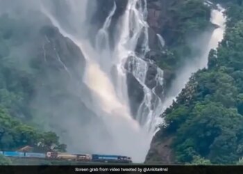 Monsoon Adds To The Beauty Of Goas Dudhsagar Falls, The Video Is Such That You Will Just Be Left Watching