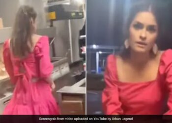 Viral Video: McDonalds Refuses To Take Orders From Woman, She Reaches Outlet To Cook Herself