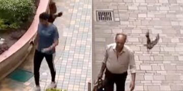 Watch: Video Of Angry Crow Hitting People Walking Around The Garden