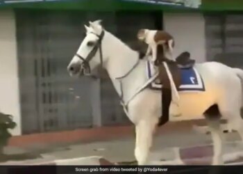 Dog Riding A Horse Video Goes Viral On Internet People Remember Painting Of Majnu Bhai See Funny Video