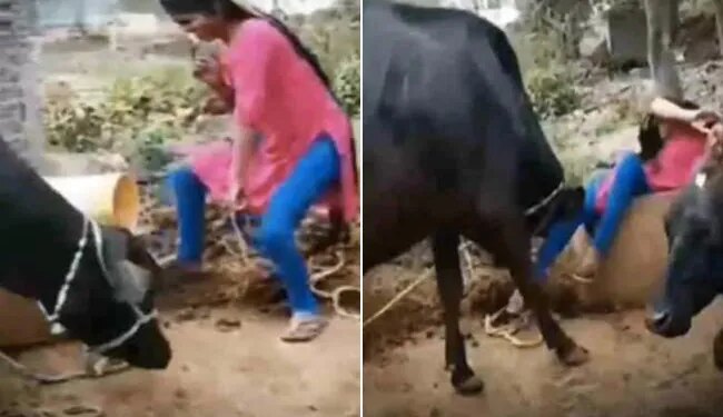 Viral Video Of Girl Started Dancing By Giving Fodder To Buffaloes | Girl Started Dancing In Front Of Buffalo