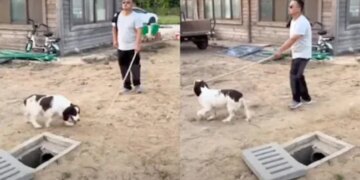 Cant See With Eyes, The Person Was About To Fall In The Pit, Then The Dog Lay Down And Saved His Life, Viral Video