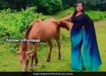 Girl Was Making Reels By Standing Near The Horse She Started Dance Then What Happened Next Watch Viral Video