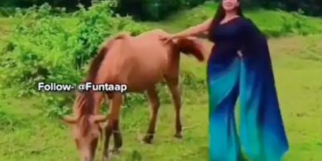 Girl Was Making Reels By Standing Near The Horse She Started Dance Then What Happened Next Watch Viral Video